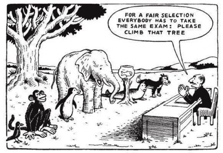 5 weetjes over de leerplicht & thuisonderwijs